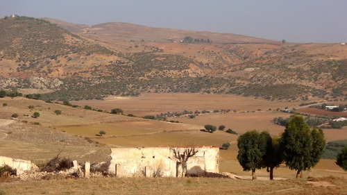 Paysage de la région de Zama Régia à Siliana en Tunisie