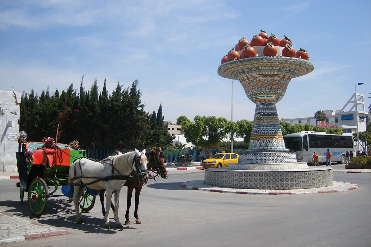 Au Pays des Orangers : Hammamet & Nabeul